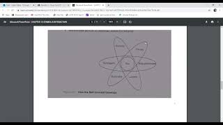 CHAPTER 15 SYMBOLIC INTERACTION THEORY