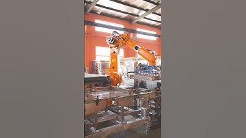 Robotic Retort Tray Handling System