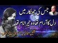 Qateel Shefai Shayari ||jeni dost bhi the ||Heart broken Poetry 😢 💔