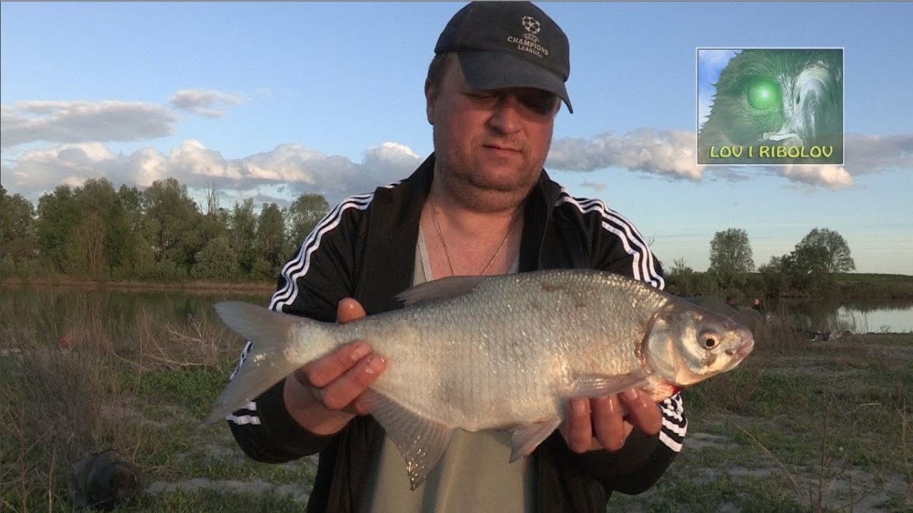 Lov i ribolov - Italija - Delta Poa - Deverika - YouTube