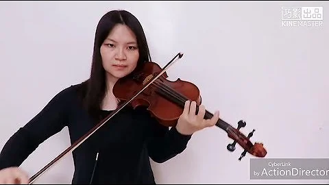 Avicii - SOS ft. Aloe Blacc(Violin Cover)