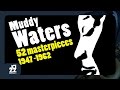 Muddy Waters Walkin Thru The Park mp3