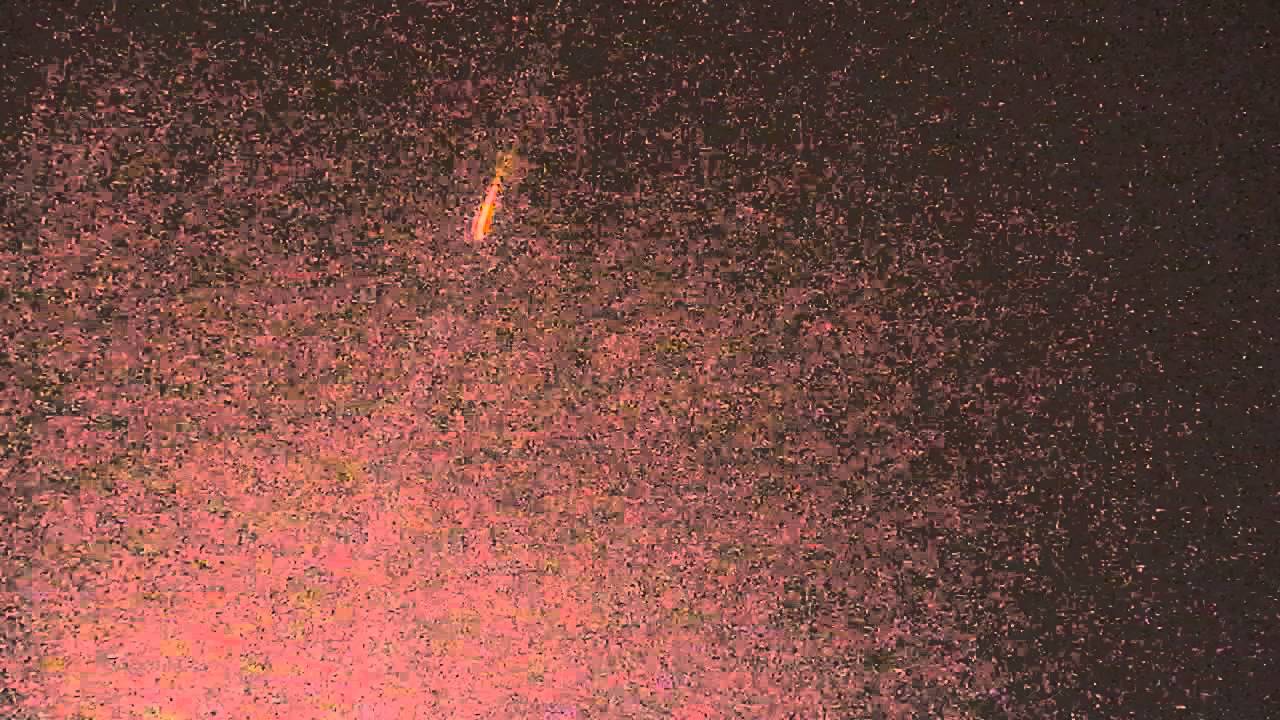 Kuningaspommi pamahtaa uutena vuotena