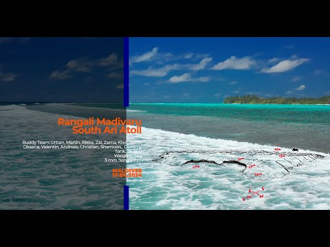 MALDIVES - DIve No.9 - Rangali Madivaru 1