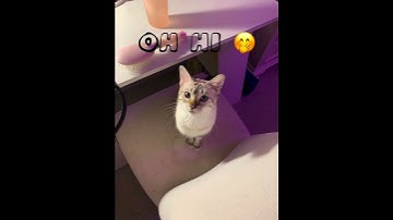 My new intro| welcome to my channel