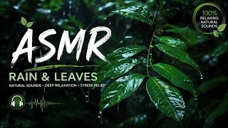 ASMR | RAIN & LEAVES | NATURAL SOUND | DEEP RELAXATION | STRESS RELIEF   #asmr #relaxing #satisfy