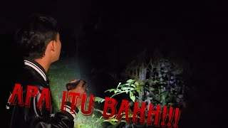 NIAT UJI NYALI MALAH....