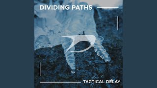 Dividing Paths Wealth