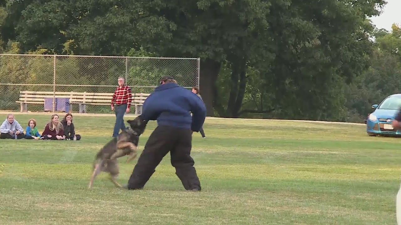 50 police K-9 units from around Missouri show off their dogs' skills