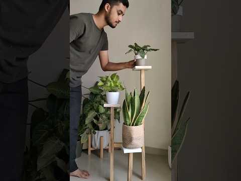 Video: Stativ til stueplanter: Sådan bruges et indendørs plantestativ effektivt
