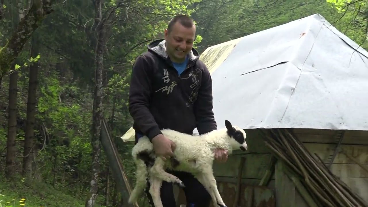 Narod priča: Na tri kilometra nekada 23 vodenice - Maslovare, Kotor Varoš