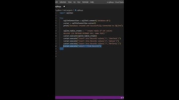 Implementing Python sqlite database in one minute | #shorts