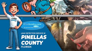 Pinellas County Leak Detection: Finding Hidden Leaks Fast!
