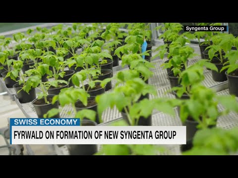 Agriculture giant Syngenta Group on track for 2022 IPO