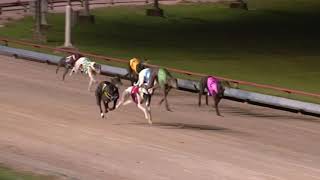 SLE SUN 17 MAR 19 R8