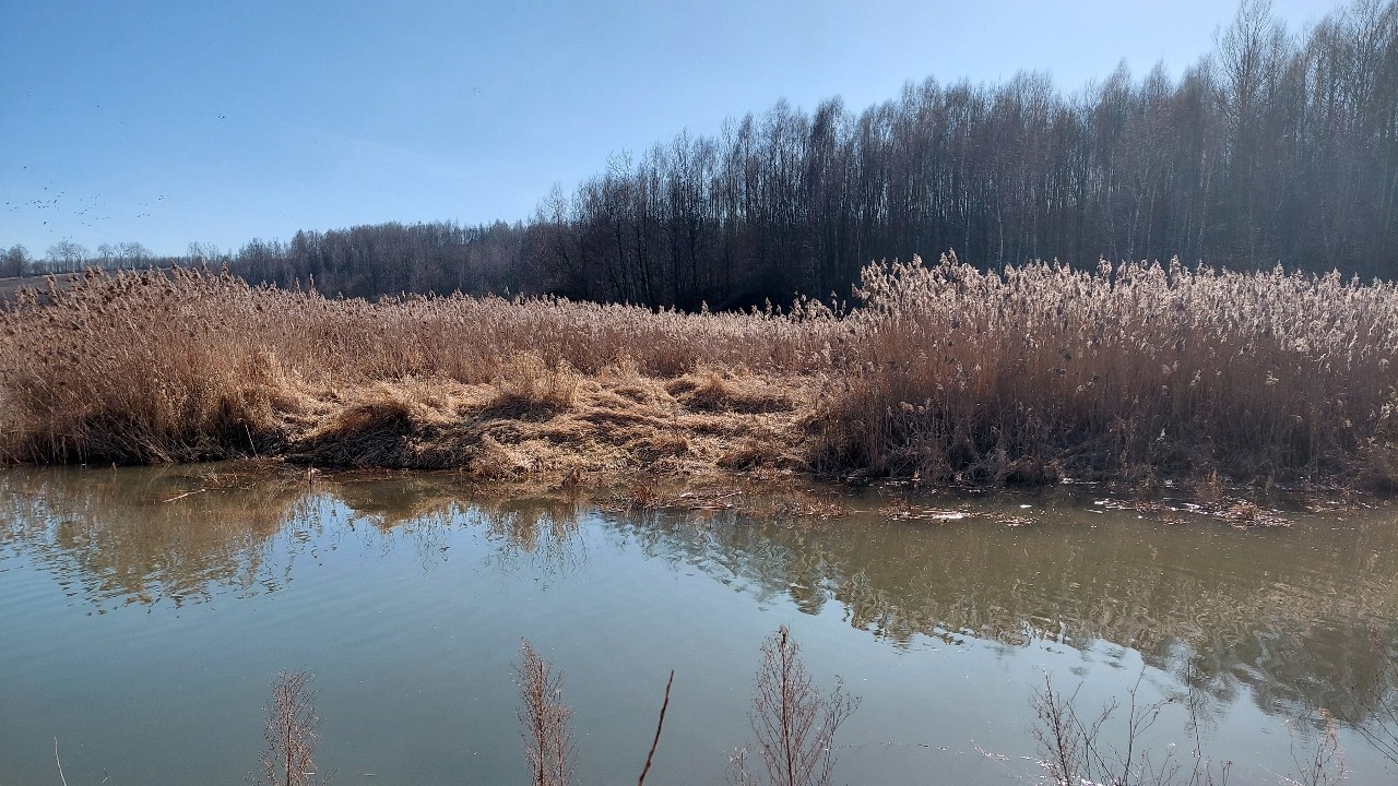 Poszukiwanie miejscówki wędkarska