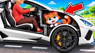 Cat Builds SECRET ROOM in GRANNY'S SUPER CAR!
