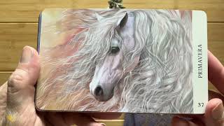 Tarot Unboxing Vol. 75 "Horse Wisdom Oracle” by Kathy Pike &amp; Laurie Prindle