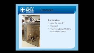 Canadian Standards of Care in Animal Shelters - Supporting ASV Guidelines
