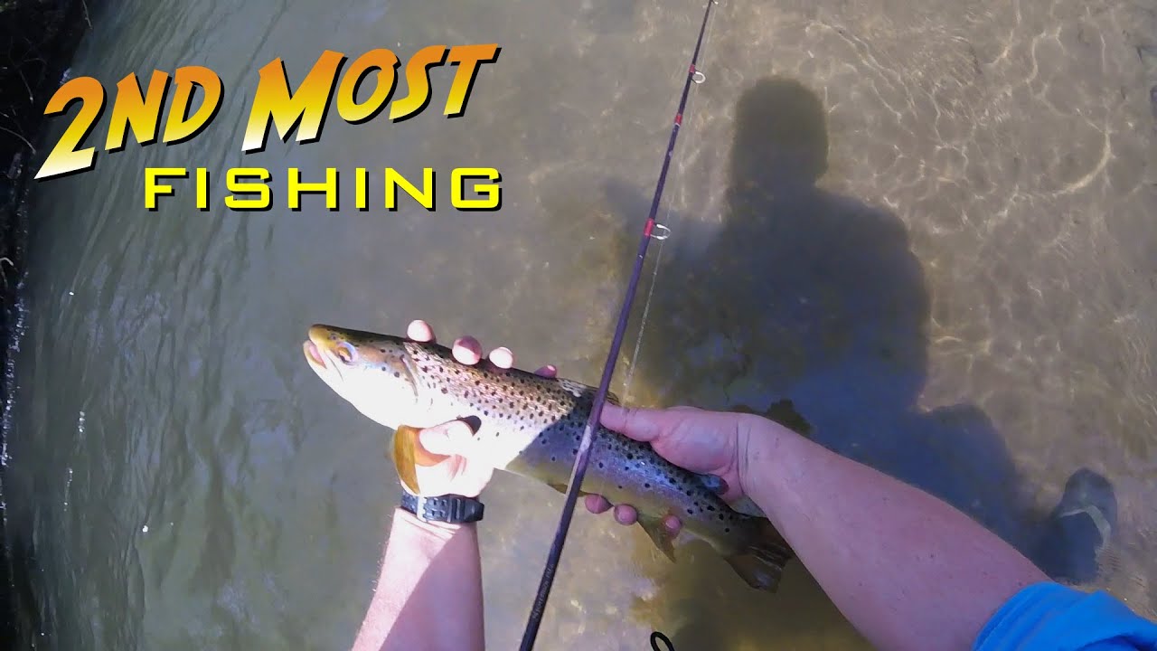 Bois Brule River Steelhead and Black Earth Creek Trout Fishing YouTube