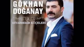 Gökhan Doğanay - Diyarbekir Küçeleri 2016 Resimi