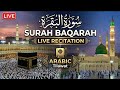 Surah Baqarah Live Recitation #Live Quran #Live #Quran