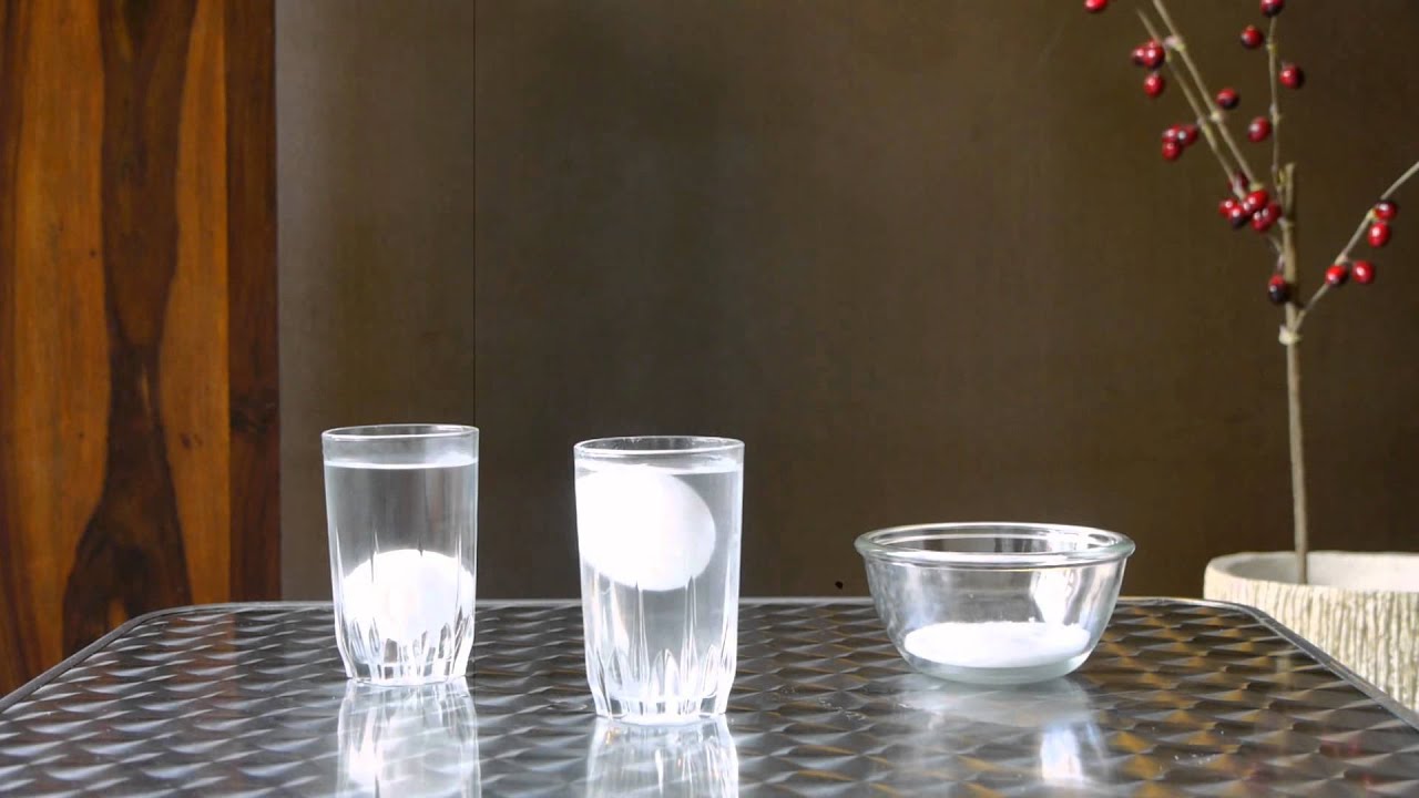 Egg Floating in Water Experiment - Science Projects for Kids
