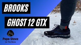 Brooks Ghost 12 GTX running shoes