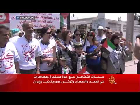 استمرار حملات التضامن الدولية مع غزة