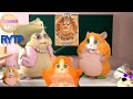 Youtube Thumbnail title