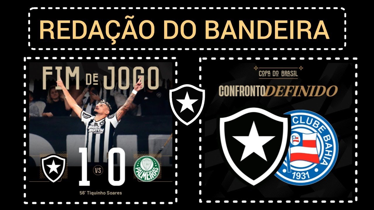 BOTAFOGO 1x0 PALMEIRAS | FOGÃO x BAHIA NA COPA DO BRASIL - YouTube