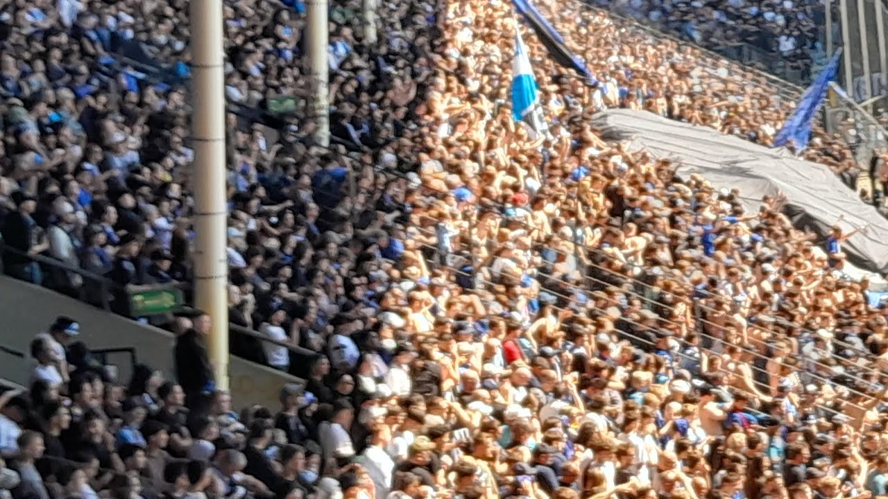Sv Waldhof gegen Alemannia Aachen Choreo | #Waldhof #Aachen #Fußball 