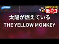 【カラオケ】太陽が燃えている/THE YELLOW MONKEY