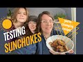 Were tastetesting sunchokes  the best recipe weve ever tried for them