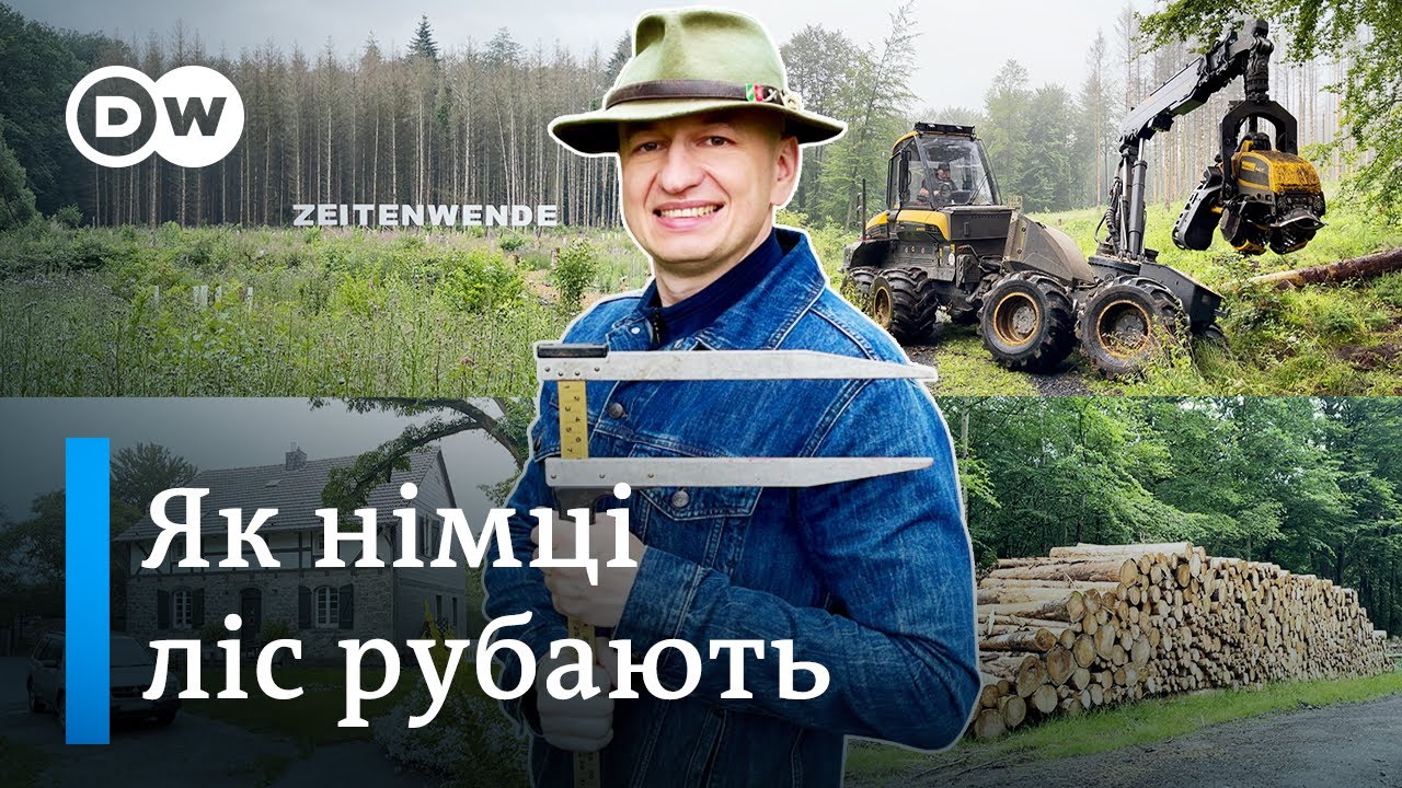 Чому в Німеччині немає нелегальної вирубки - 