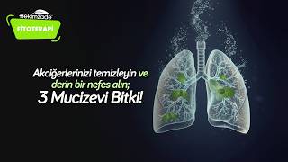 Akciğerlerinizi Temizleyin Ve Derin Bir Nefes Alın 3 Mucizevi Bitki