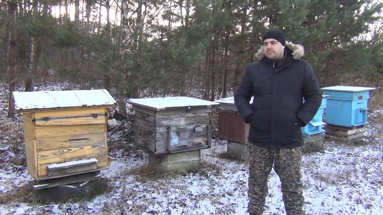 Зимовка пчел под пленкой на сетчатом и глухом дне Продажа пчелопакетов ...