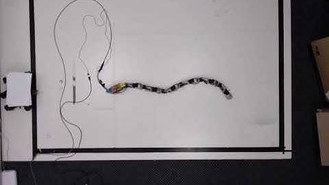 Evolved Snake Robot Gait (22x speed)