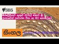 ඕස්ට්‍රේලියාව ඇතුළු රටවල් 40කට ශ්‍රී ලංකාවෙන් සංචාරක වීසා අද සිට නොමිලයේ | SBS Sinhala - SBS...