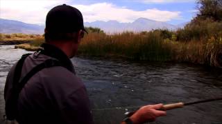 Explore Inyo County, Discover Bishop