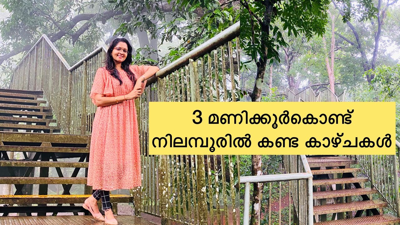 മൂന്ന് മണിക്കൂർകൊണ്ട് നിലമ്പൂരിൽ കണ്ട കാഴ്ചകൾ|nilambur|sarisway