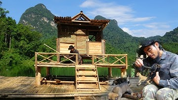 Complete 360 ​​degree rotating house. The puppies are getting cuter and cuter