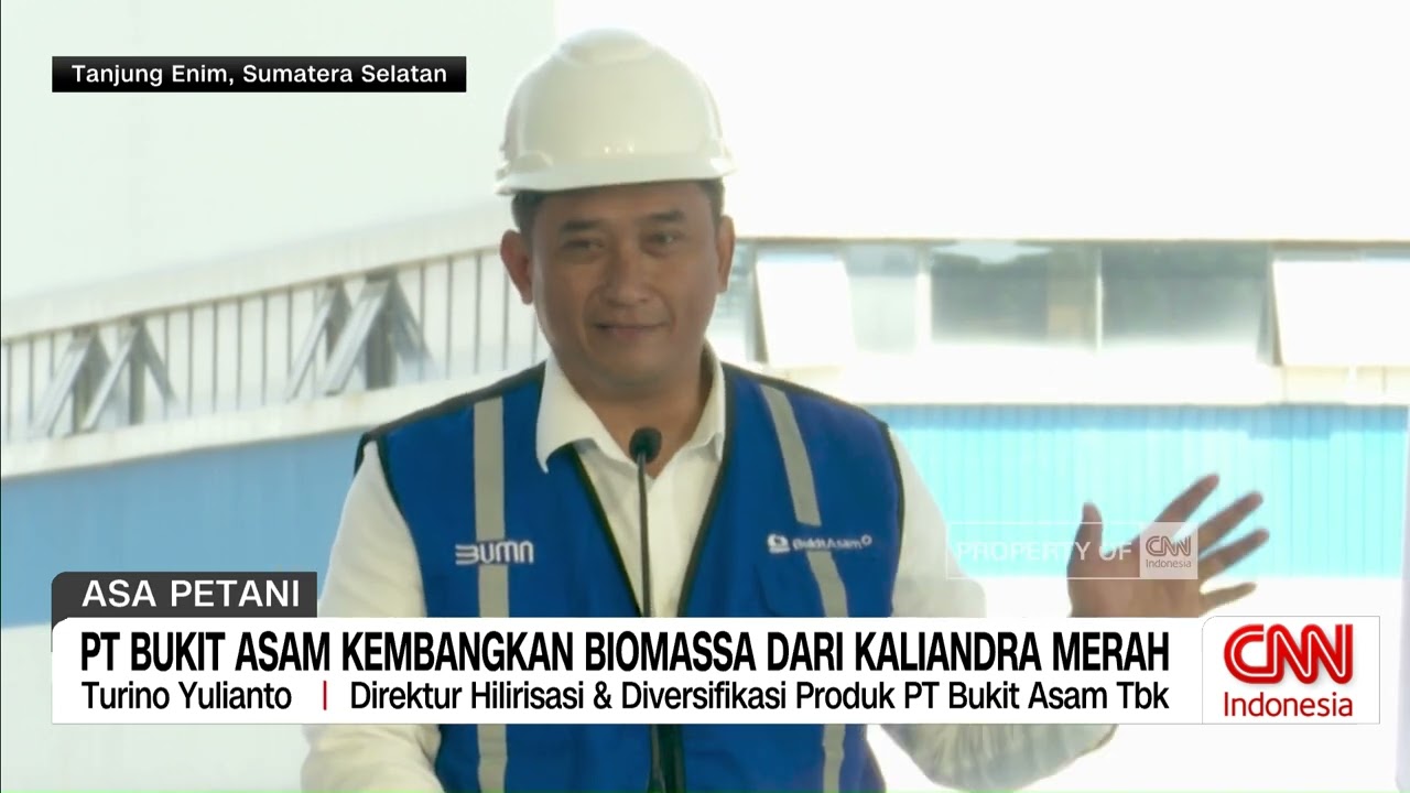 PT Bukit Asam Kembangkan Biomassa Dari Kaliandra Merah