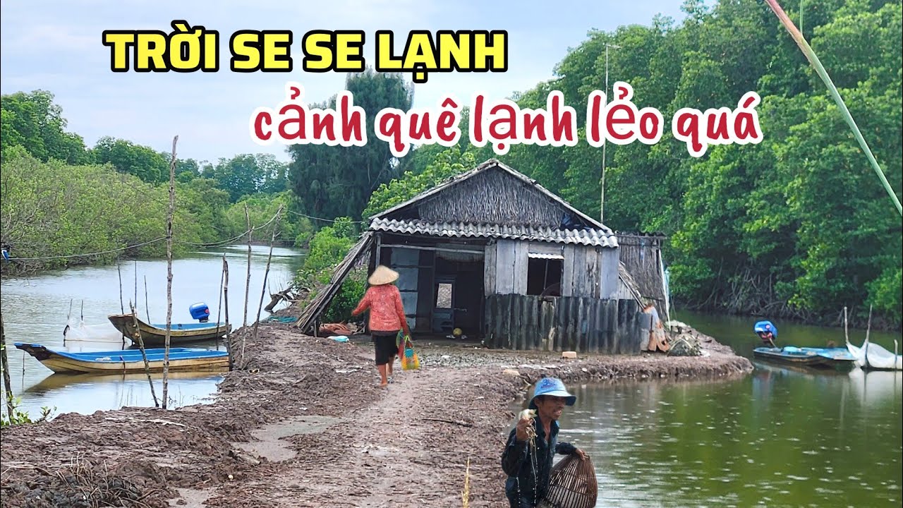 Cảnh Quê Lạnh Lẻo Quá: Trời Se Se Lạnh Mưa Phun Đường Làng Vắng Vẻ, Mùa Lúa Thu Hoạch Vàng Ươm 2026