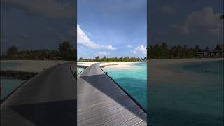 Мальдивы : Подводный рай и белоснежные пляжи