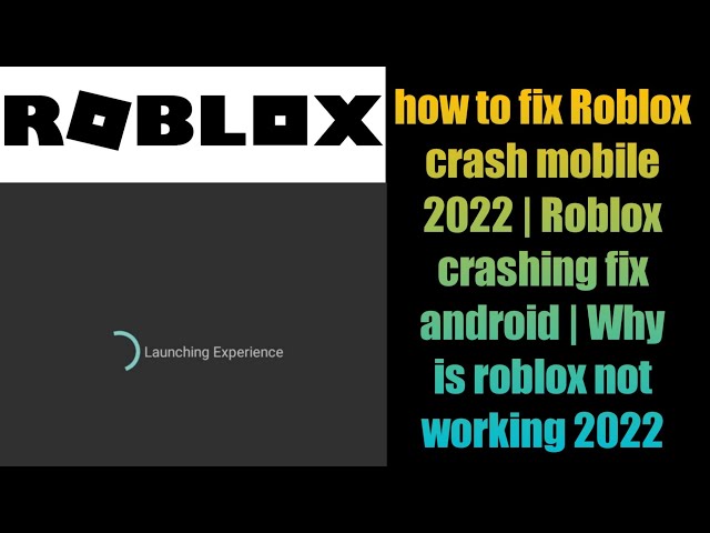 5 Ways to Fix Roblox Arceus X Crash on Android/PC