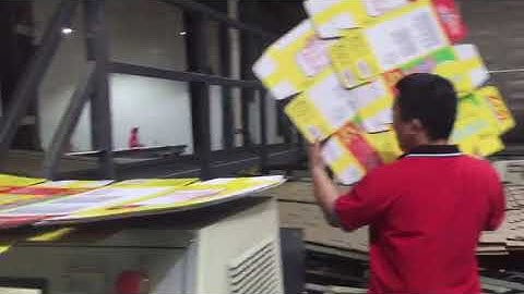 DINGLONG bottom printer RDC vibrator counter stacker