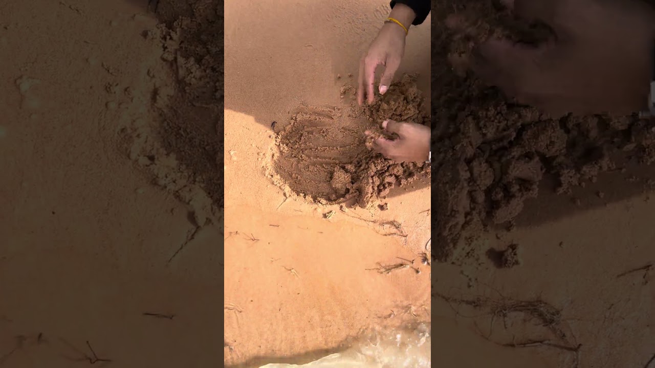 Amazing gold finding, Treasure hunter's video, Real treasure found 