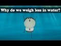 Archimedes Principle - Why do we weigh less in water? | #aumsum #kids #science #education #children