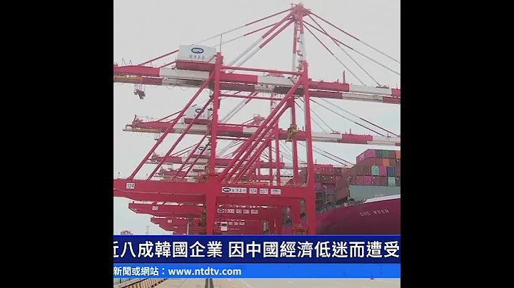 近八成韓國企業 因中國經濟低迷而遭受損失｜ #新唐人電視台 - 天天要聞